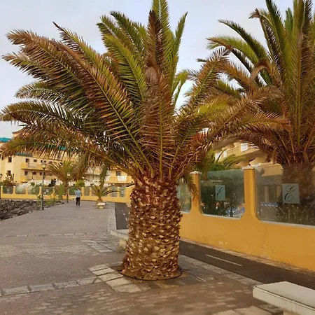 Lejlighed Casa Mia